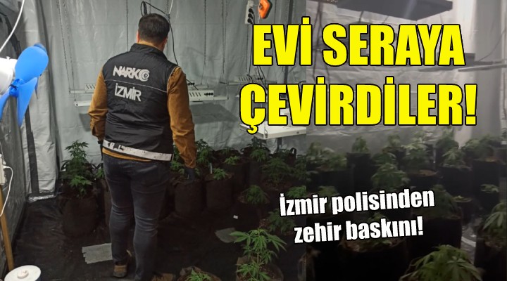 Evi uyuşturucu serasına çevirdiler!