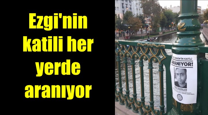 Ezgi nin katilinin bulunması için 17 şehirde duvar ve direklere afişler yapıştırıldı