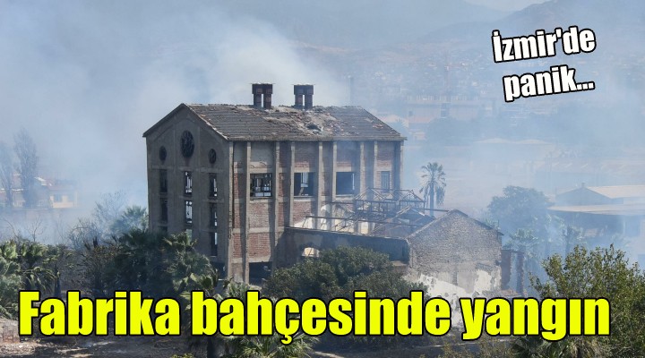 Fabrika bahçesinde yangın