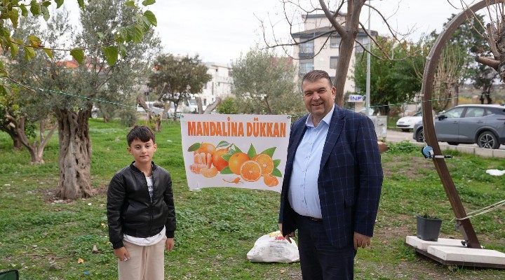Ferit’in mandalina standı dolup taşıyor