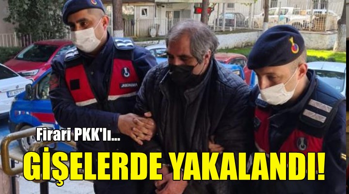 Firari PKK lı otoyol gişesinde yakalandı!