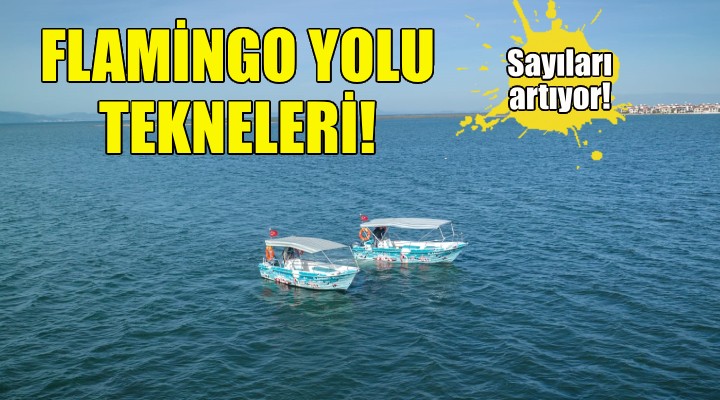 Flamingo Yolu tekneleri çoğalıyor!