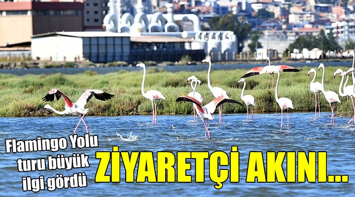 Flamingo Yolu Turu 4 binin üzerinde ziyaretçi ağırladı