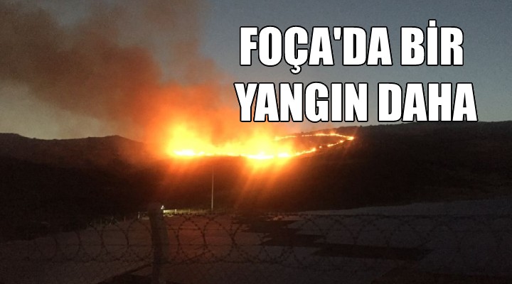 Foça da bir yangın daha