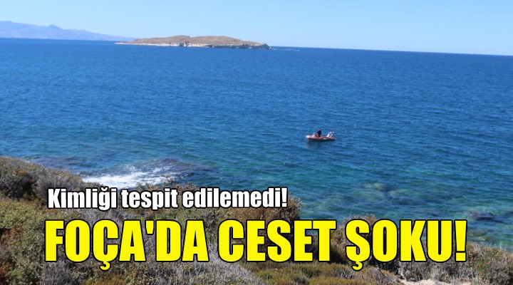 Foça da ceset şoku!