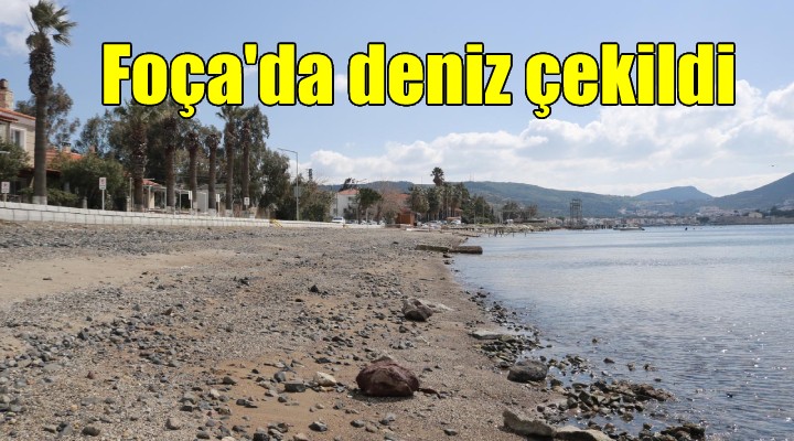 Foça da deniz 20 metre çekildi