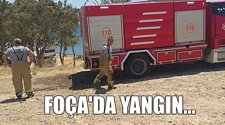 Foça da iki ayrı yerde yangın