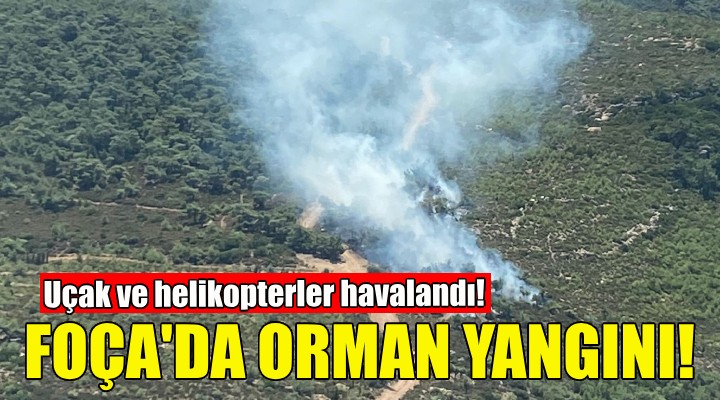 Foça da orman yangını... Uçak ve helikopterler havalandı!