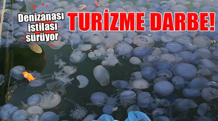 Foça da turizme denizanası darbesi...