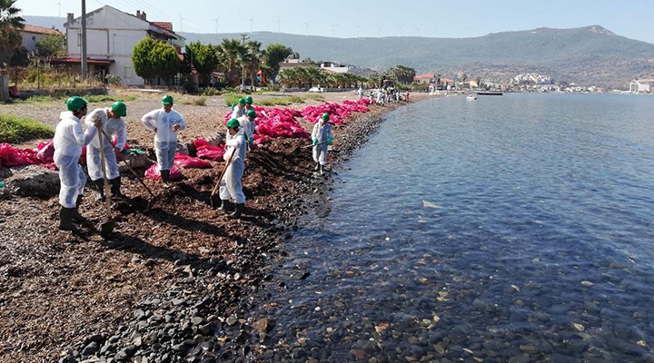 Foça yı cehenneme çeviren firmanın cezası belli oldu