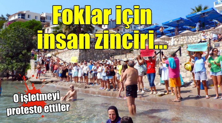 Fokların yuvasına iskele kurulmasına insan zincirli protesto...