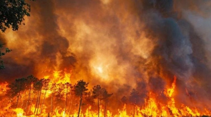 Fransa da yangın felaketi... 10 binlerce kişi tahliye edildi!