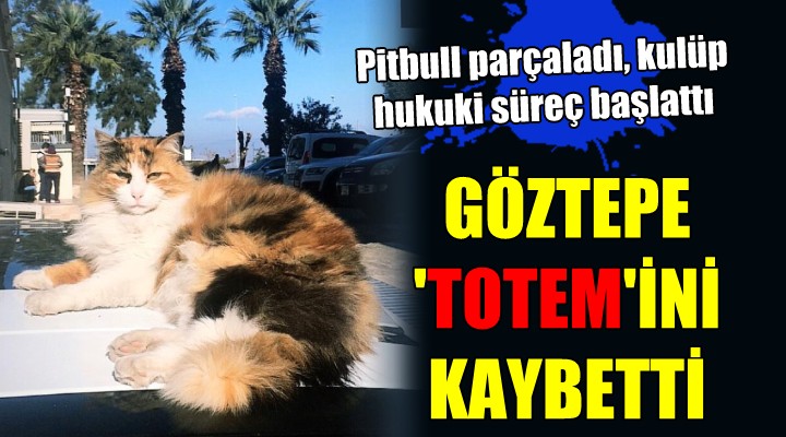 GÖZTEPE NİN  TOTEM İNİ PİTBULL PARÇALADI