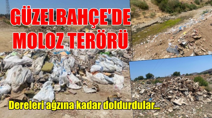 GÜZELBAHÇE DE MOLOZ TERÖRÜ!