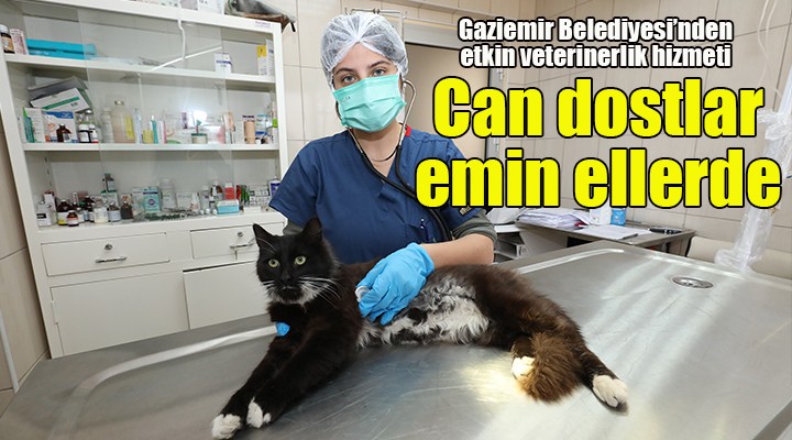 Gaziemir’de 27 bin 631 hayvana veteriner sağlık hizmeti