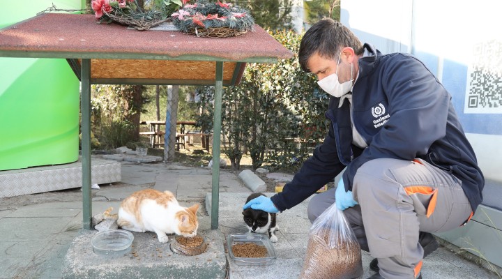 Gaziemir’de can dostlara mama ve su desteği