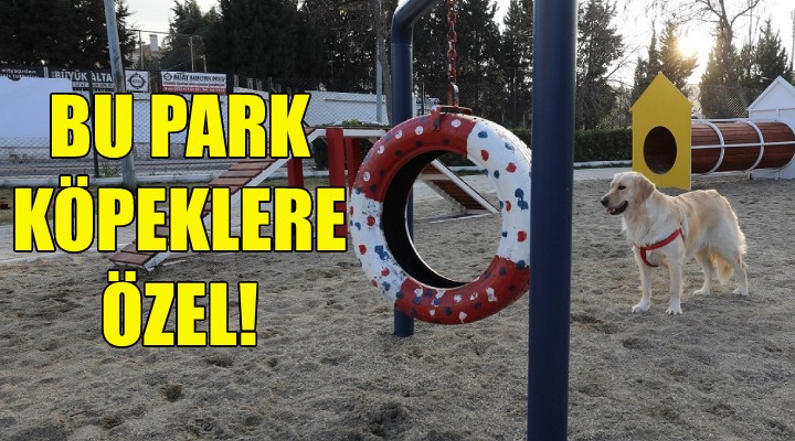 Gaziemir’de köpeklere özel park!