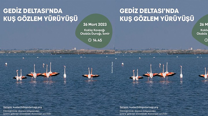 Gediz Deltası’nda kuş gözlem yürüyüşü