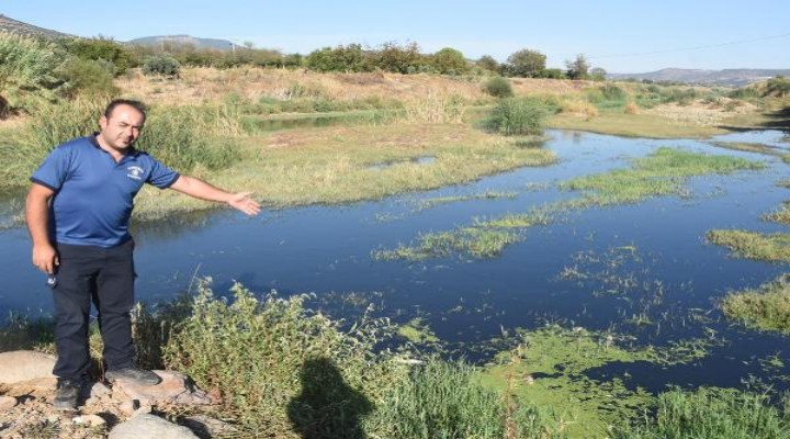 Gediz Nehri ndeki kirlilik ve kokuya tepki