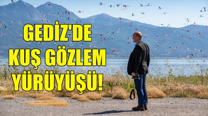 Gediz de kuş gözlem yürüyüşü!