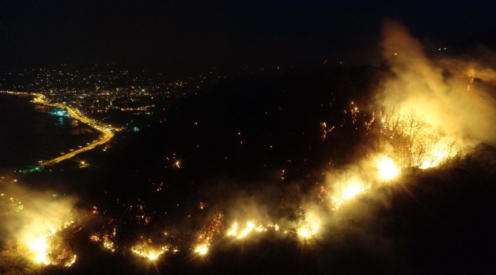 Giresun da korkutan orman yangını