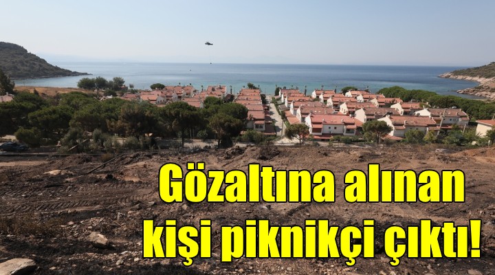 Gözaltına alınan kişi piknikçi çıktı!