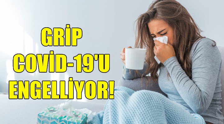 Grip, koronavirüsü engelliyor!