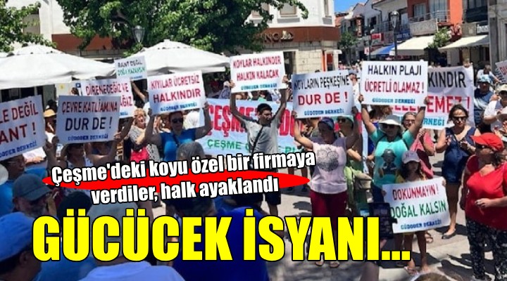 Çeşme de Gücücek Koyu isyanı...