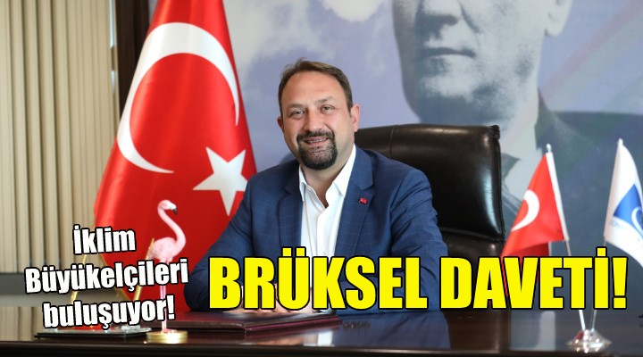 Gümrükçü ye Brüksel daveti!