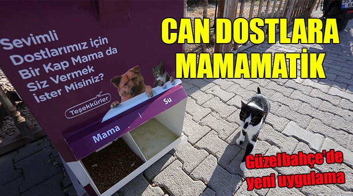 Güzelbahçe de can dostlara mamamatik