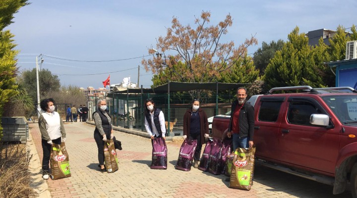 Güzelbahçe de sevimli dostlar unutulmadı