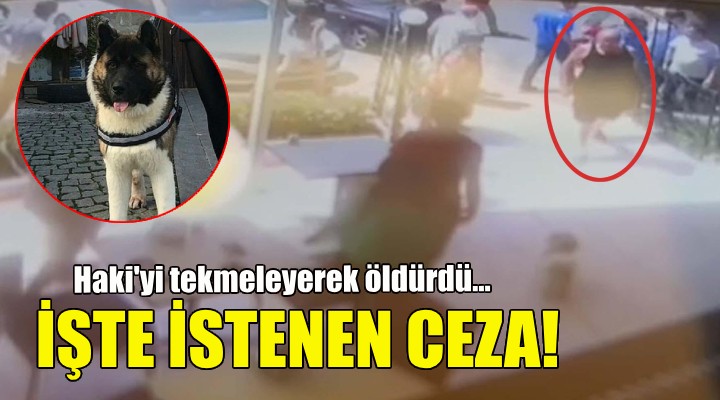 Haki yi tekmeleyerek öldürdü... İşte istenen ceza!