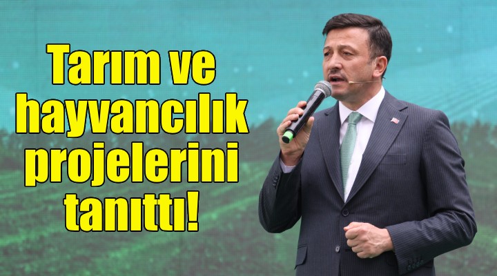 Hamza Dağ, tarım ve hayvancılık projelerini tanıttı!