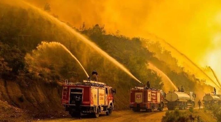 Hatay da orman yangını!