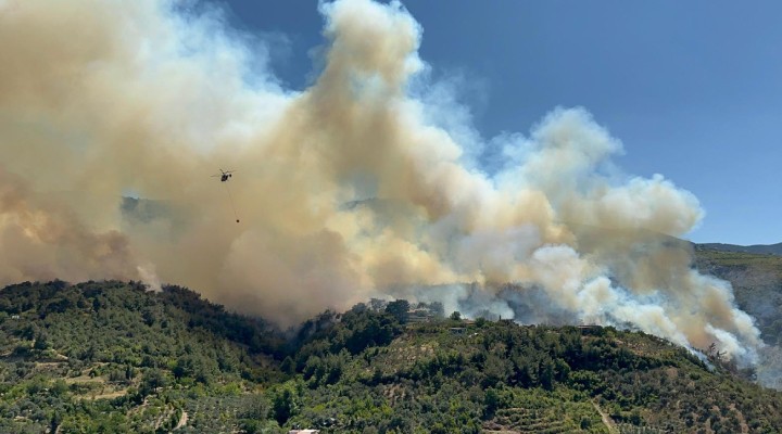 Hatay da orman yangını... Yerleşim yerlerine ulaştı!