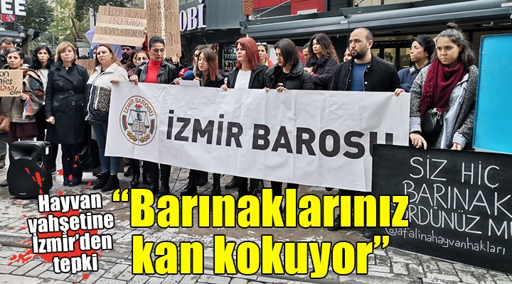 Hayvan vahşetine İzmir den tepki...