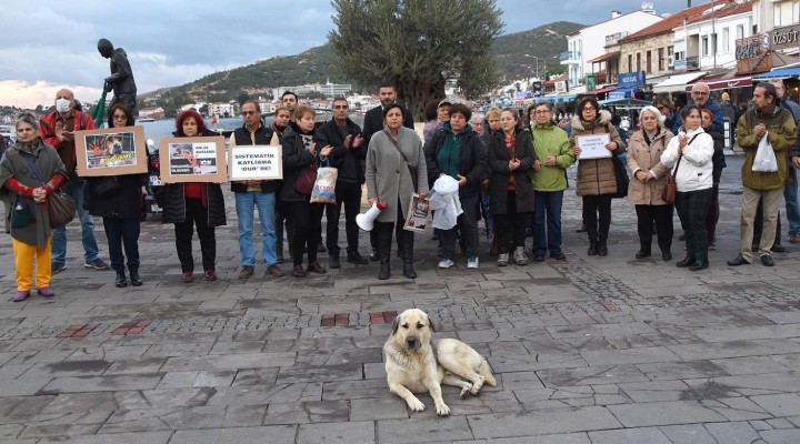 Hayvan vahşetine İzmir den tepki