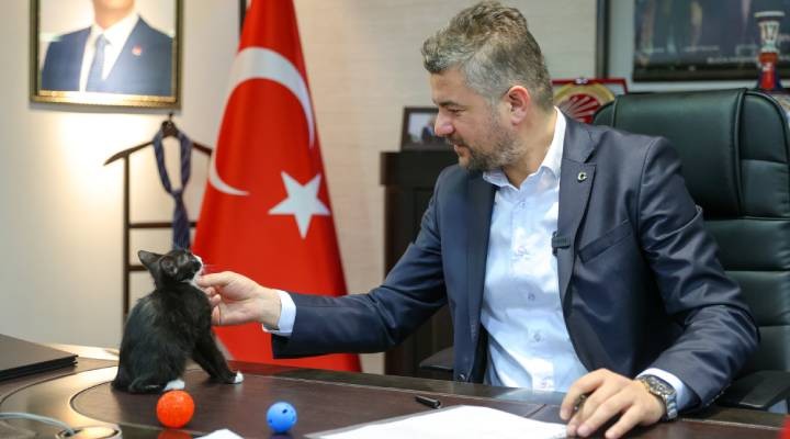 Hayvanları Koruma Günü’nde Başkan Duman’dan çağrı