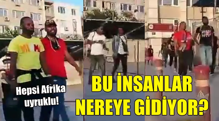 Hepsi Afrika uyruklu... Bu insanlar nereye gidiyor?