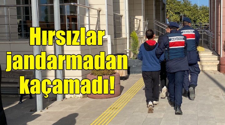 Hırsızlar jandarmadan kaçamadı!