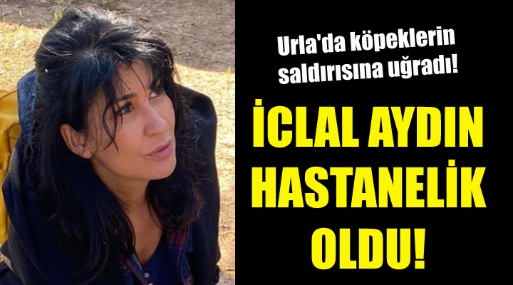 İclal Aydın hastanelik oldu!