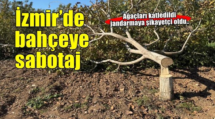 İki bahçesindeki 30 ağaç kesildi, jandarmaya şikayetçi oldu