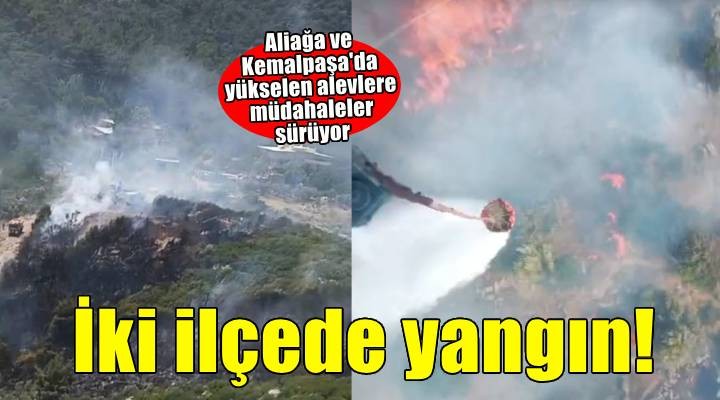 İzmir in iki ilçesinde yangın
