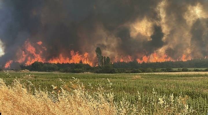 İletişim Bakanlığı: Şarköy yangınının ilerleme hızı düştü