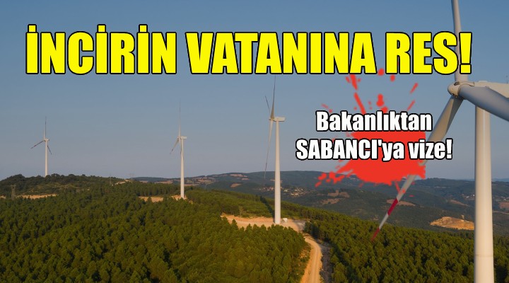 İncirin vatanına RES... Bakanlık onayladı!