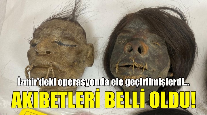 İnsan başlarının akıbeti belli oldu!