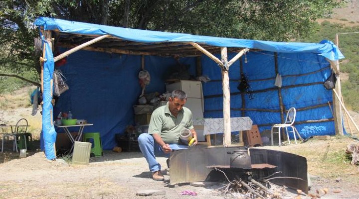 İstanbul dan kaçıp yaylaya yerleşti!