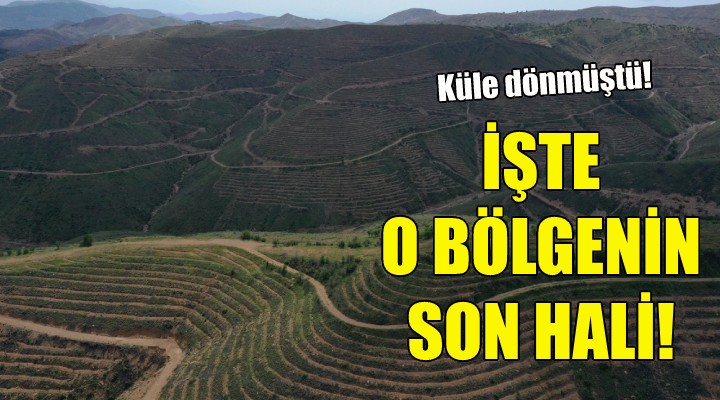 İşte İzmir deki o bölgenin son hali!