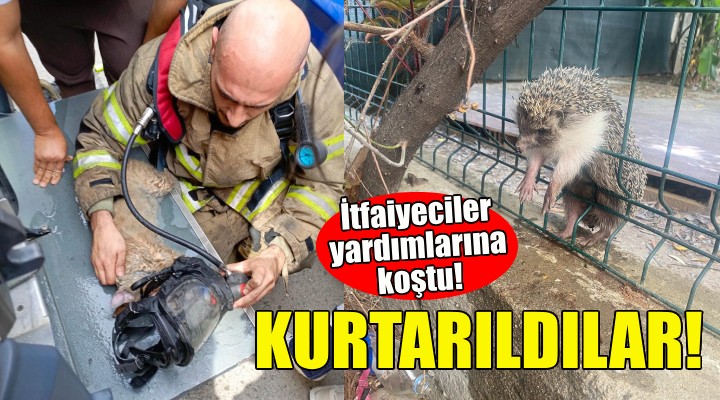 İtfaiye ekipleri yardımlarına koştu!