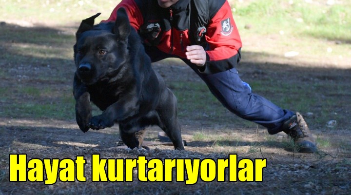 İtfaiyenin köpekleri hayat kurtarıyor!